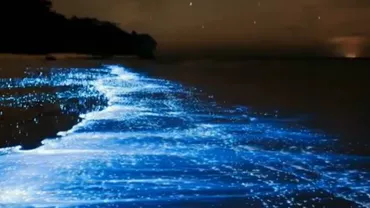 Cum a devenit misterioasa „mare” fictivă o atracție turistică principală în Maldive și cum poți s-o vezi: „Norocul este cuvântul cheie”