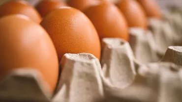 De ce nu ar trebui ținute ouăle în ușa de la frigider? Unde trebuie depozitate pentru a se menține mai mult
