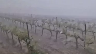 Vreme extremă în Franța: Strat de 30 de centimetri de grindină (VIDEO)