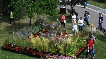 Au început amenajările la West Side Flower Fest!  În topul atracțiilor: 21 de grădini tematice și decoruri supradimensionate din 12.000 de ghivece de flori