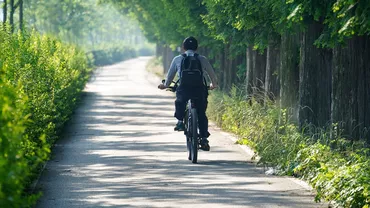 Un biciclist din Brăila a fost spulberat de un șofer bulgar, pe DN 22B