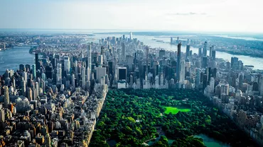 Metoda revoluționară, menită să reducă numărul de șobolani în New York. Care este produsul banal, folosit pentru a scăpa de rozătoare