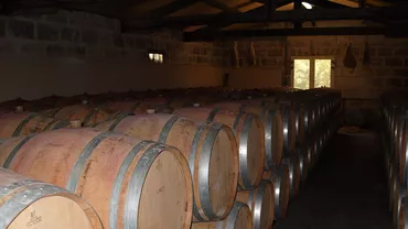 Ce a descoperit un bărbat din Austria într-o pivniță. Arheologii au venit imediat la fața locului