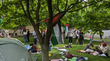 ActiveWatch condamnă măsurile aplicate de poliție și jandarmerie participanților la protestele împotriva războiului din Gaza