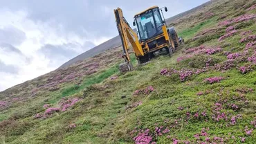 Vegetație distrusă pe o lungime de 500 m în golul alpin Mușeteica, din aria protejată a Munților Făgăraș, de către un cioban care își excava un drum către stână