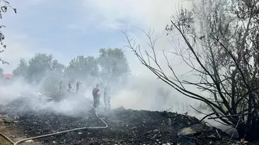 Garda de Mediu, intervenție de Sintești: Incendiu declanșat de un foc scăpat de sub control