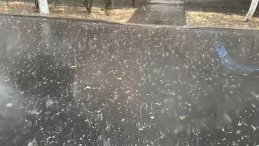 Furtună cu grindină, în București. ANM a emis o avertizare de tip nowcasting. Vizate sunt și județele Giurgiu și Teleorman