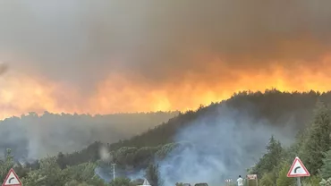 Turcia în alertă: Mai mulți români prinși în Kusadasi, unde incendiile de vegetație devastează zona (VIDEO)