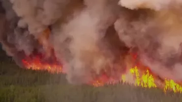 Peste 1.400 de hectare de pădure au fost înghițite de flăcări și mii de persoane au fost evacuate în urma incendiului extrem din California