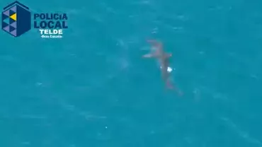 Un rechin de 3 metri a băgat spaina în turiștii din Spania. Steagul roşu, ancorat pe două plaje (VIDEO)