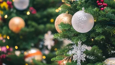 Brazi artificiali de lux: cele mai elegante modele pentru Crăciun