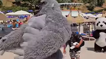 Ca să facă un bănuț s-au îmbrăcat în costume groase și etanșe care înfățișează personaje animate și s-au plimbat printre turiștii aflați pe Litoral pe cod roșu de caniculă
