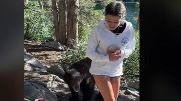 Momentul terifiant în care un urs apucă de un picior o adolescentă în timp ce se afla pe munte (VIDEO)