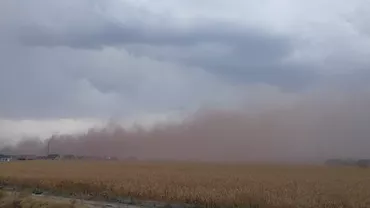 Fenomen ciudat, în Oradea. Locuitorii s-au speriat când au văzut cum arată cerul. Vizibilitatea a fost afectată pentru ceva timp. Ce s-a întâmplat, de fapt (VIDEO)