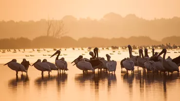 Destinația care îi atrage pe români și în toamnă. Turiștii au făcut rezervări și pentru noiembrie