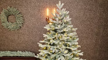 O tendința modernă de Crăciun - brazi de Crăciun cu iluminare LED
