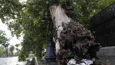 Cod portocaliu de ploi şi vânt pentru Bucureşti şi Ilfov. Recomandările autorităților dacă te prinde furtuna pe stradă