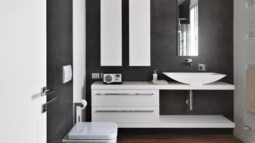 Accesorii sanitare de baie care revoluționează designul și funcționalitatea