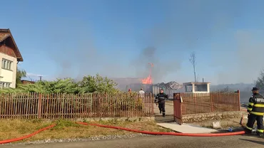 Mărturii teribile despre incendiul de vegetație din Maramureș: „Dacă era iarbă, ardeam ca șobolanii aici”. 4 pompieri au fost răniți