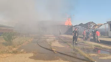Incendiu de vegetaţie scăpat de sub control, în Maramureș: 7 case şi un rezervor de motorină au fost afectate. Peste 150 de pompieri acționează / Arafat: Un avion al MApN intervine (FOTO)