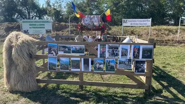 Târg de animale cu animale doar în poze, la Apulum Agraria de la Ighiu (județul Alba), din cauza pestei micilor rumegătoare