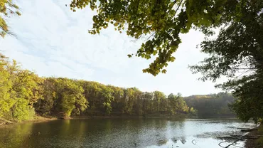 Animalul care trăiește exclusiv în România. Aparține unei specii preistorice și este considerat „fosilă vie”