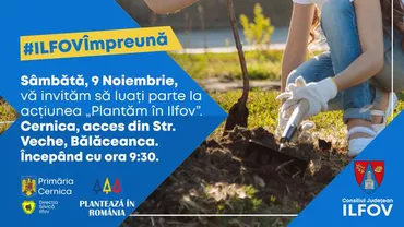 O nouă acțiune de împădurire în Cernica, pe o suprafață de 2 hectare, se va desfășura sâmbătă