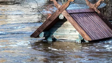 Furtuna Eowyn face ravagii în Marea Britanie și Irlanda. Aproape 800.000 de clădiri au rămas fără energie electrică