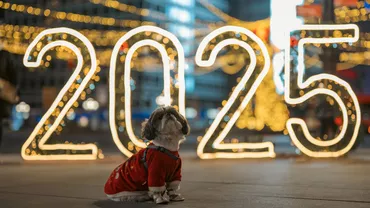 Primele țări care deja au intrat în anul 2025. România mai are doar câteva ore până la Revelion