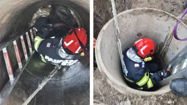 Misiune inedită a pompierilor: Au salvat o poneiță gestantă, căzută într-o fântână adâncă de patru metri (FOTO)