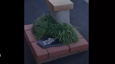 În ce țară se află cel mai mic parc din lume. Măsoară doar 0,24 de metri pătrați