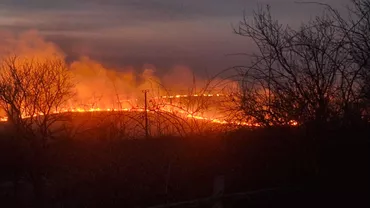 Treisprezece județe se confruntă cu incendii masive de vegetație. Au fost înregistrate patru victime