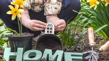 Din grădină pe ecran: Cum îți transformi pasiunea în prezență digitală