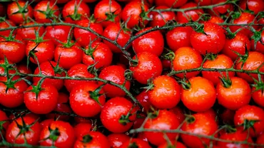 Vrei roșii cherry dulci și aromate? Comandă semințele de care ai nevoie!