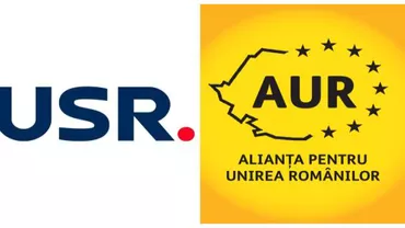 USR și AUR, scandal în Parlament: „Vă comportați ca ultimul grobian” / “Nu sexul este problema, creierul poate fi. Să vă fie rușine. Țoiu, demisia”
