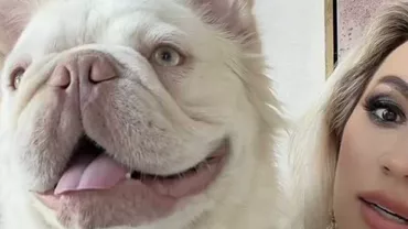 Cât a dat o fostă vedetă TV pe un câine: „A fost o grămadă de bani”/ „Avansul de la o garsonieră”