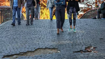 Ciprian Ciucu: „Parcul Herăstrău merită mai mult!”