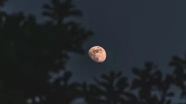 Cum și când să admiri superluna Castorului, cea mai spectaculoasă lună plină a anului