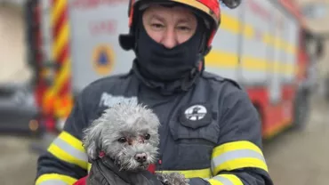 Pompierii din Giurgiu au salvat un căţeluş dintr-un apartament în flăcări (FOTO)