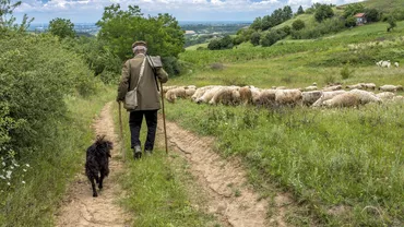 Câți bani câștigă un îngrijitor de animale la stat, în România. Bonus, are cazarea gratuită şi spor de toxicitate