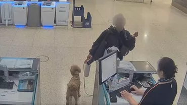 O femeie a fost arestată după ce și-a abandonat cățelul pe aeroport. Gestul său a revoltat autoritățile (VIDEO)