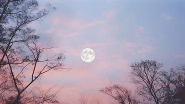 Luna Roz, prima lună plină a primăverii. Când apare și ce legătura are cu Paștele