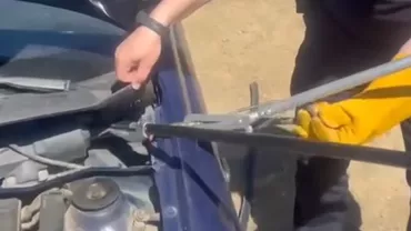 Șarpe găsit în compartimentul motor al unei mașini din Tulcea. Avertismentul jandarmilor: „Verificați periodic autoturismele”