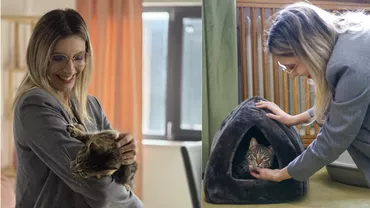 Ministerul Mediului a adoptat o pisică. Cum a fost salvată și unde va locui (FOTO)