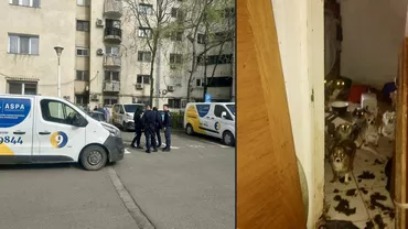 25 de câini salvați dintr-o locuință din Sectorul 4. În ce condiții trăiau animalele și cum au procedat autoritățile (FOTO)