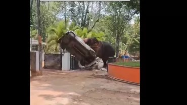 Elefant scăpat de sub control la un templu din India. Un mort și mai mulți răniți după scene de panică
