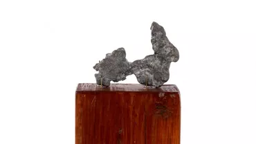 O lucrare realizată de Constantin Brâncuși va fi scoasă la licitație. Ce poveste ascunde figurina Le Crocodile