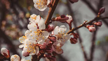Vremea, 14 mai: Temperaturile cresc ușor, dar rămânem cu o atmosferă răcoroasă