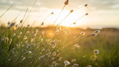 Vremea azi, 19 aprilie. Temperaturile cresc și soarele revine în mai multe regiuni