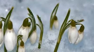 Vremea, 21 martie aduce temperaturi de 14 grade, dar și precipitații în majoritatea regiunilor